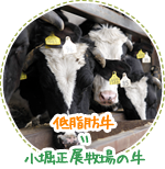 低脂肪牛＝小堀正展牧場の牛